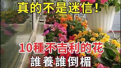 10種不吉利的花|10種越養越「不吉利」的花，很多人不懂，還傻傻的養在家裡